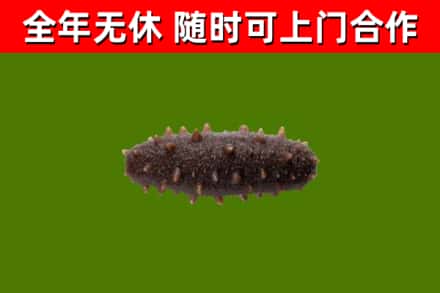 瓦房店市烟酒回收干海参.jpg